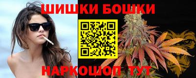 прущие грибы Волжск