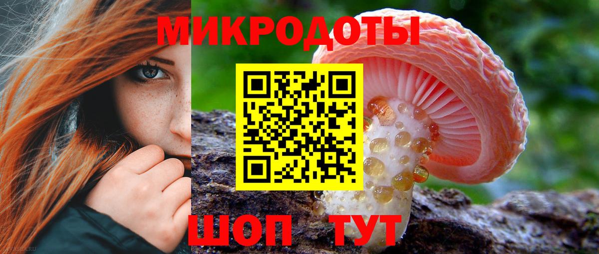 Галлюциногенные грибы GOLDEN TEACHER Борзя